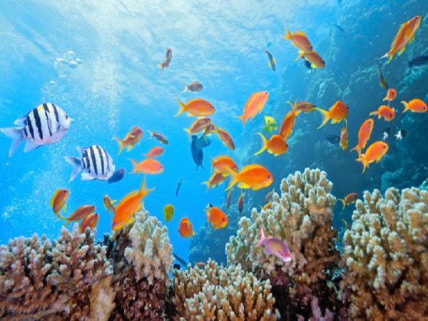 wisata laut yang terkenal