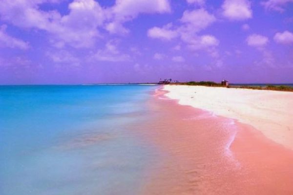 Keindahan Pantai Pink Lombok