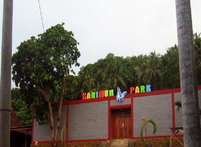 Wisata Butterfly Park Karimunjawa