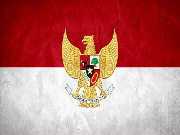 Pria Indonesia Karyanya Sudah Diakui Dunia